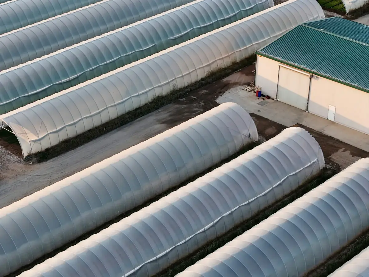 View of the Agrofid greenhouse