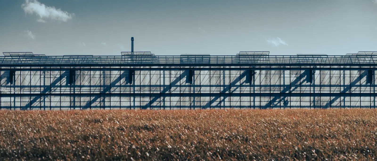 Wide view of the Agrofid production setting